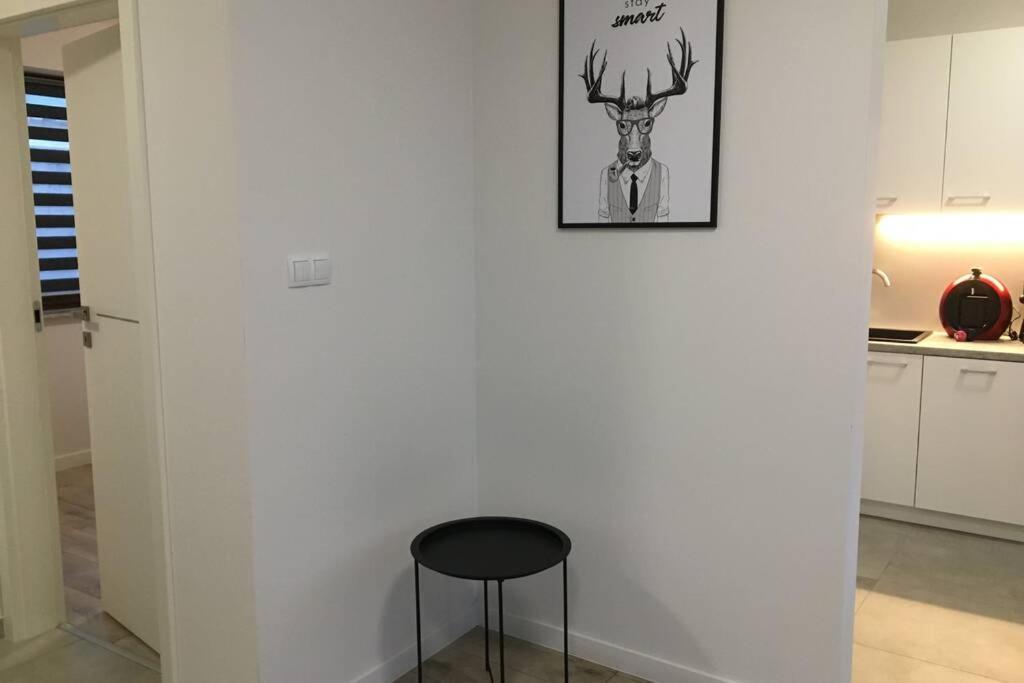 Apartament Fibra Americano Rybnik  Esterno foto